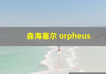 森海塞尔 orpheus